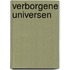 Verborgene Universen