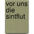 Vor uns die Sintflut