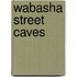Wabasha Street Caves