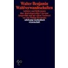 Wahlverwandtschaften door Walter Benjamin