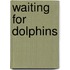 Waiting for Dolphins