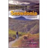 Walking In Snowdonia by Carl Rogers