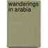 Wanderings In Arabia