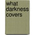 What Darkness Covers