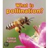 What Is Pollination?