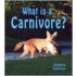 What Is a Carnivore?
