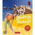 Why Do Swings Swing?