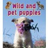 Wild and Pet Puppies