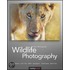 Wildlife Photography