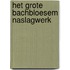 Het grote Bachbloesem naslagwerk