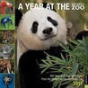 Year At The Zoo 2011 by Universe Publishing