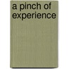 A Pinch Of Experience door Lucy Bethia Walford