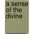 A Sense Of The Divine