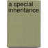 A Special Inheritance