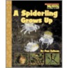 A Spiderling Grows Up door Pam Zollman