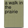 A Walk in the Prairie door Rebecca L. Johnson
