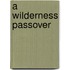 A Wilderness Passover