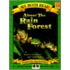 About the Rain Forest