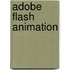 Adobe Flash Animation