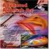 Advanced Airbrush Art