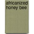 Africanized Honey Bee