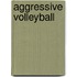 Aggressive Volleyball