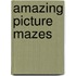 Amazing Picture Mazes