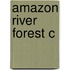 Amazon River Forest C