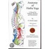 Anatomy of Hatha Yoga