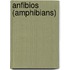 Anfibios (Amphibians)