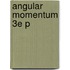 Angular Momentum 3e P