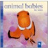 Animal Babies in Seas