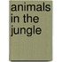 Animals In The Jungle