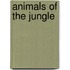 Animals of the Jungle