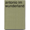 Antonio im Wunderland door Jan Weiler