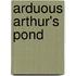 Arduous Arthur's Pond