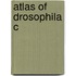 Atlas Of Drosophila C