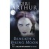 Beneath A Rising Moon