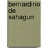 Bernardino De Sahagun