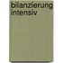Bilanzierung intensiv