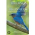 Birding for Beginners