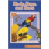 Birds, Bugs, and Bees