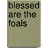 Blessed Are The Foals