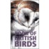 Book Of British Birds