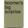 Boomer's Big Surprise door Constance W. McGeorge