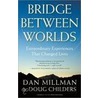 Bridge Between Worlds door Doug Childers