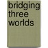 Bridging Three Worlds