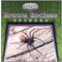 Brown Recluse Spiders