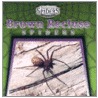 Brown Recluse Spiders by Eric Ethan