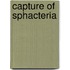 Capture of Sphacteria